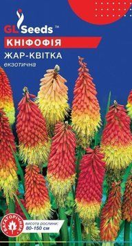 Насіння Кніфофії (0.1г) 22244 фото