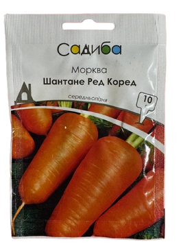 Морква Шантане Ред Коред 10 шт 2048 фото
