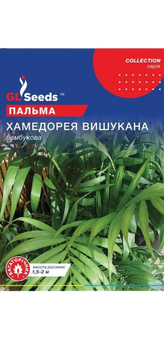 Насіння Пальми бамбукової Хамедорея (5шт) 22111 фото