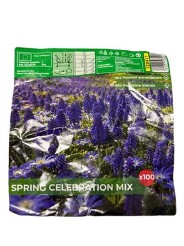 Весняний мікс цибулин 'Spring Celebration Mix' &mdash; набор, 100 шт. 67026 фото