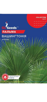 Насіння Пальми вiялової Вашингтонiя (5шт) 22113 фото