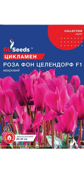 Насіння Цикламена F1 Роза фон Целлендорф (5шт) 22207 фото